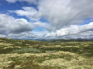 DOVREFJELL: Her kan ein kjenne på det å vere åleine i naturen.